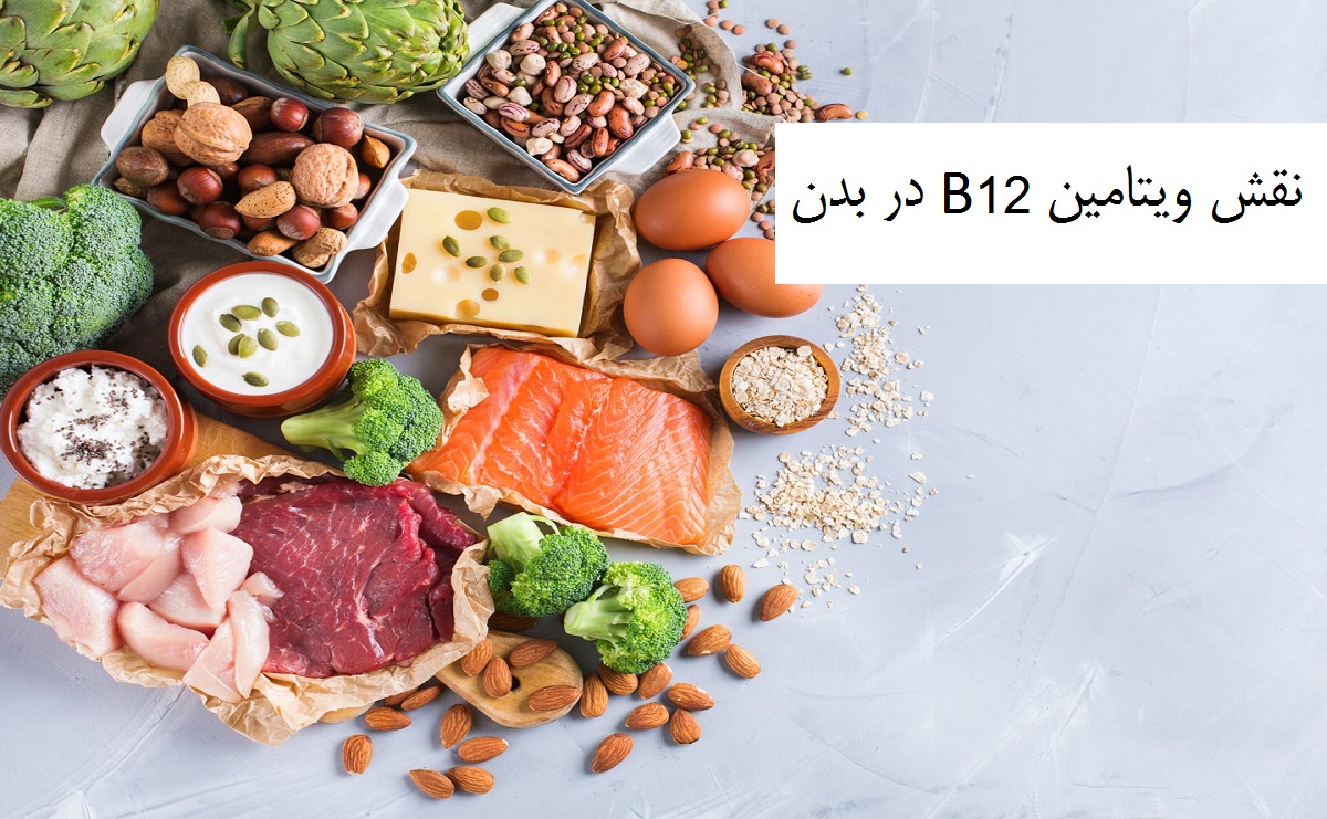 نقش ویتامین B12 در بدن